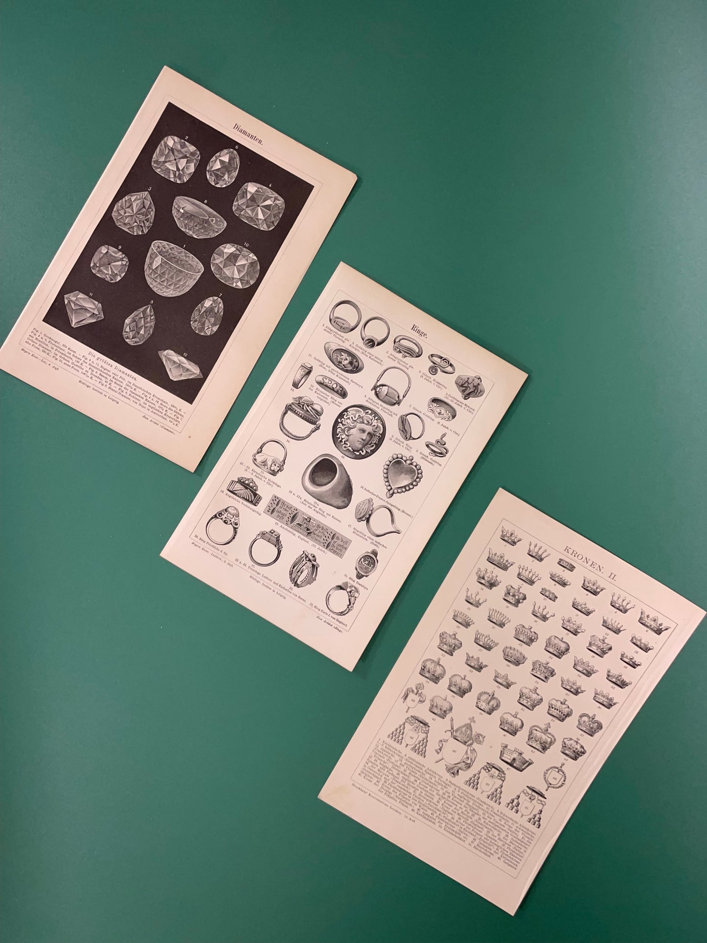 Rosetta ~ Stampa antica anelli
