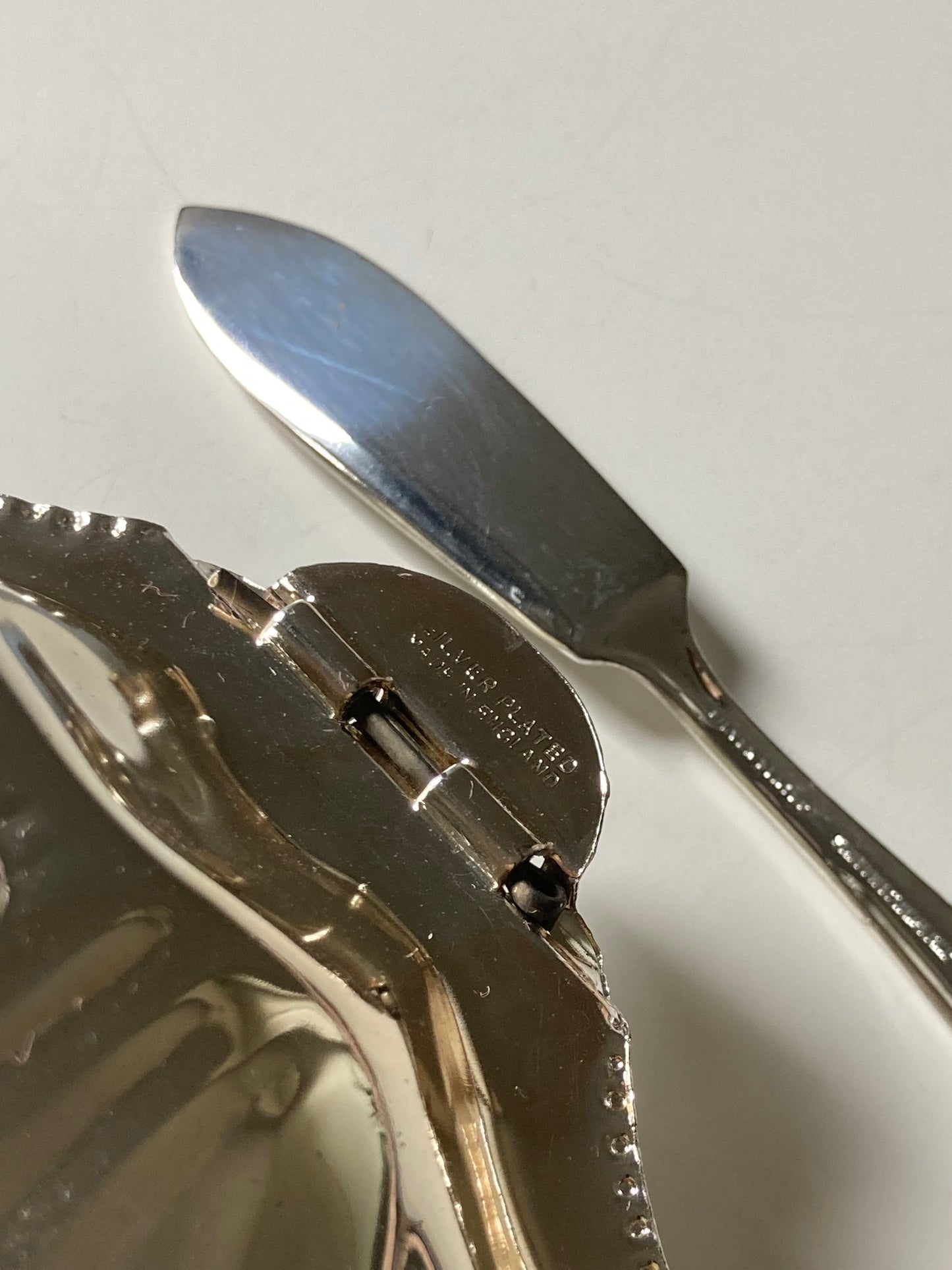 Due burriere vintage a forma di conchiglia