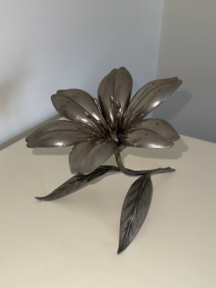 Rosetta ~ Fiore con petali posacenere