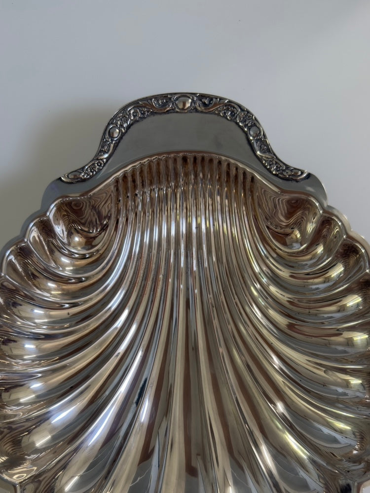 Rosetta ~ Grande conchiglia svuotatasche