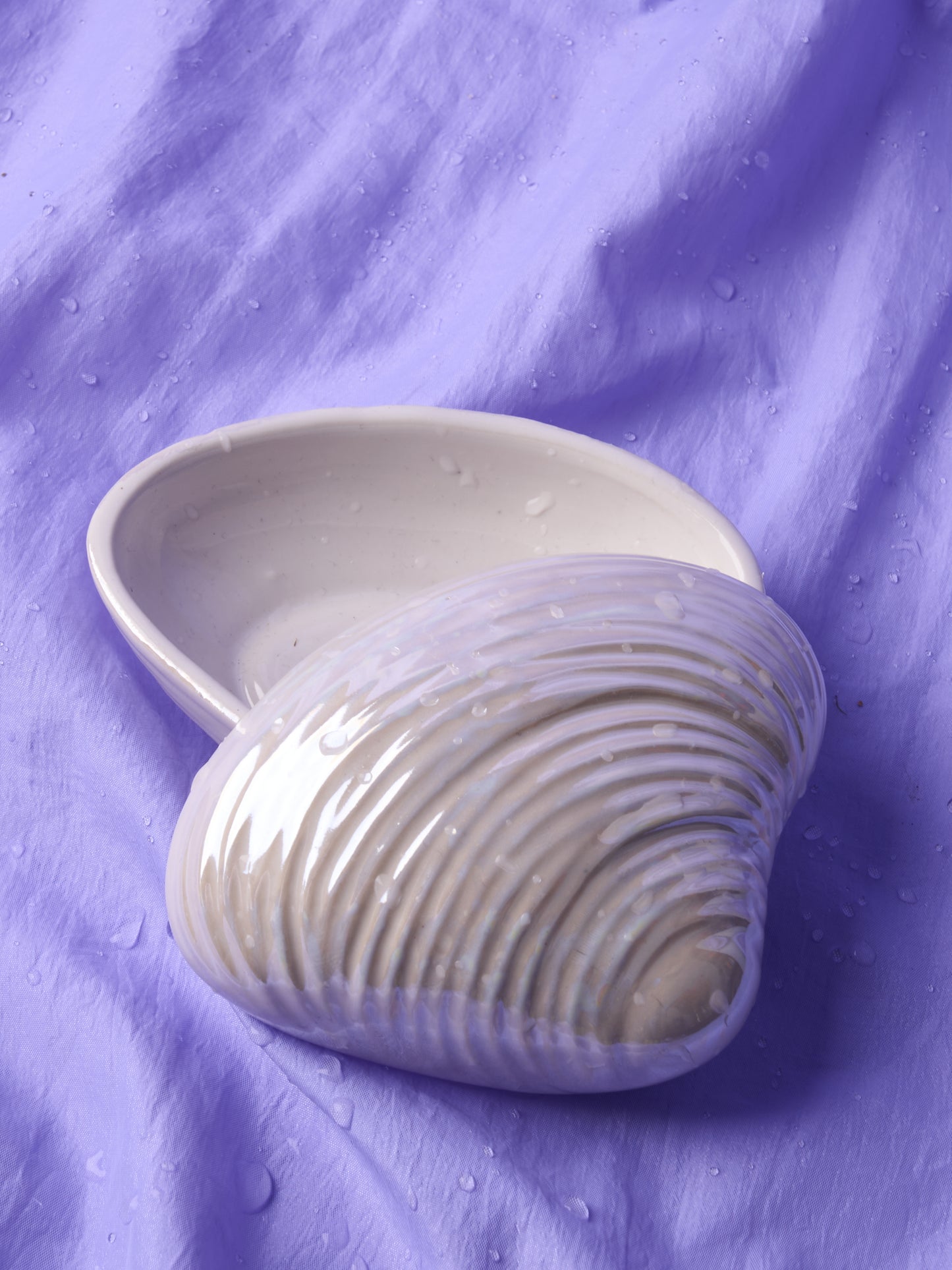 Iridescent ceramic shell box