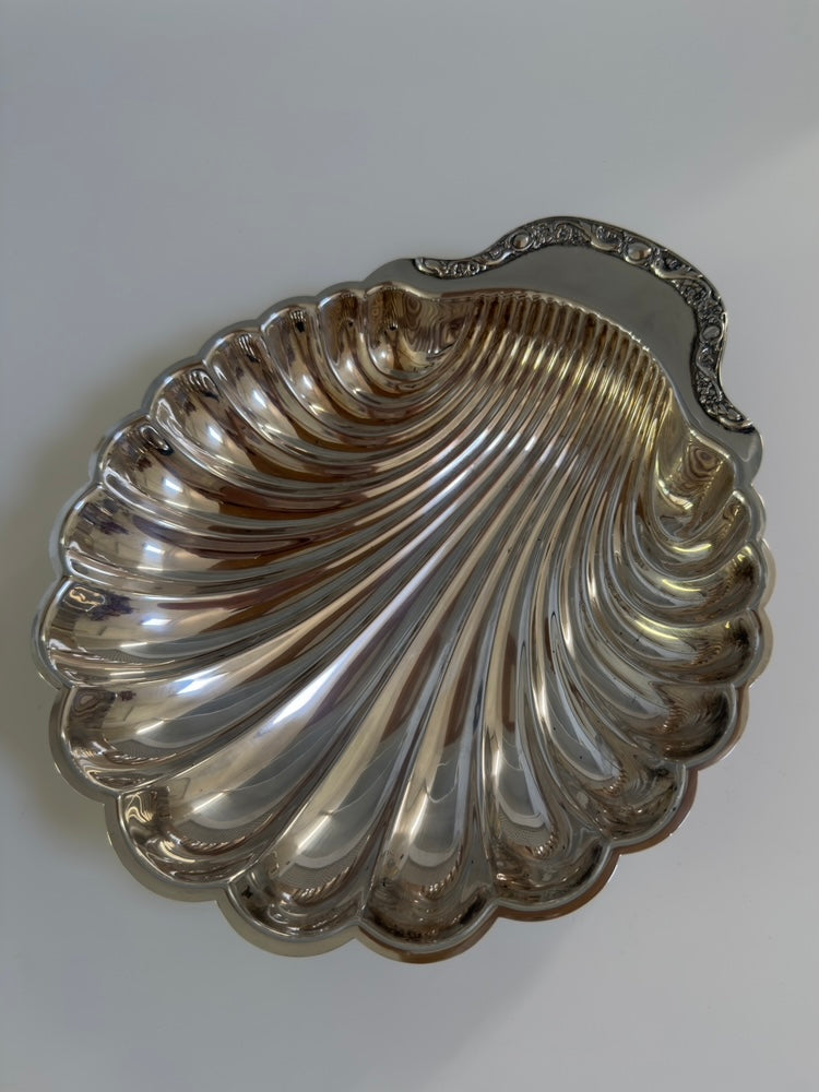 Rosetta ~ Grande conchiglia svuotatasche