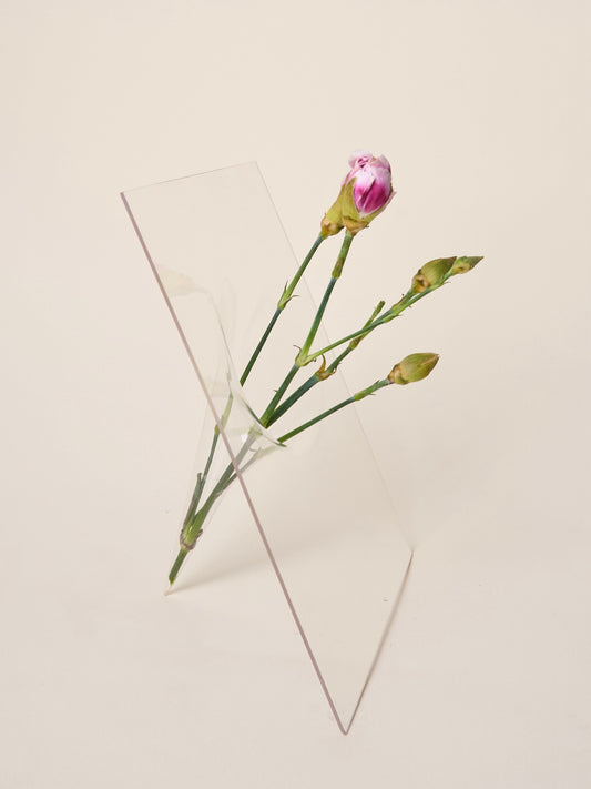 Single flower vase in transparent plastic