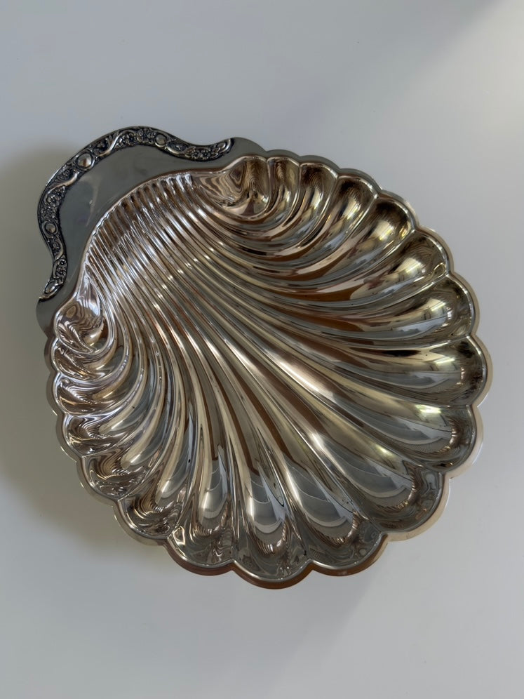 Rosetta ~ Grande conchiglia svuotatasche