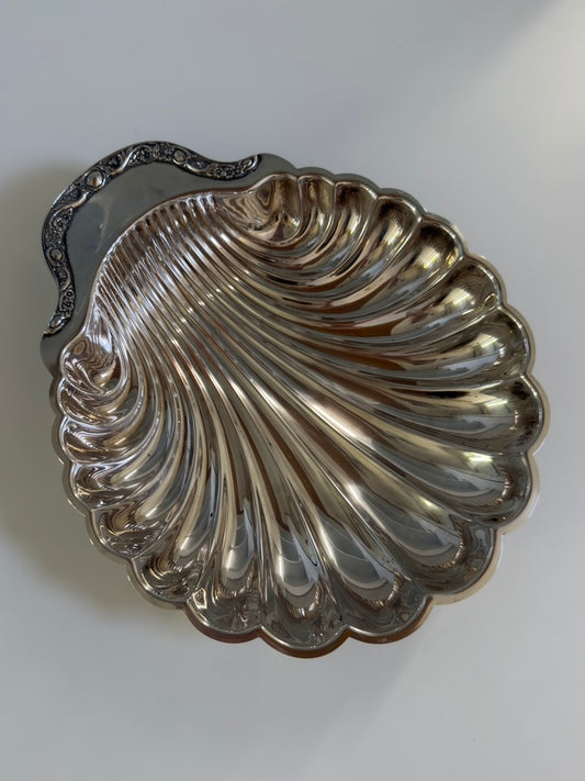 Rosetta ~ Grande conchiglia svuotatasche