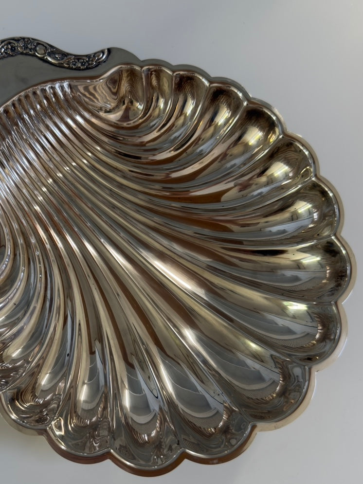 Rosetta ~ Grande conchiglia svuotatasche