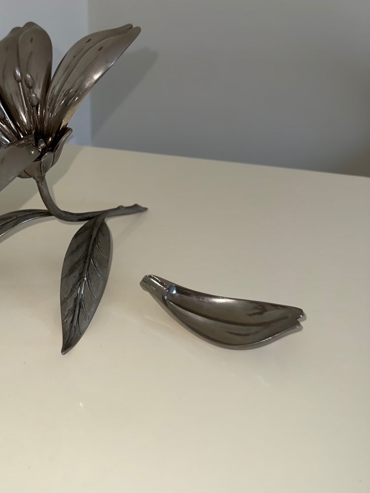 Rosetta ~ Fiore con petali posacenere