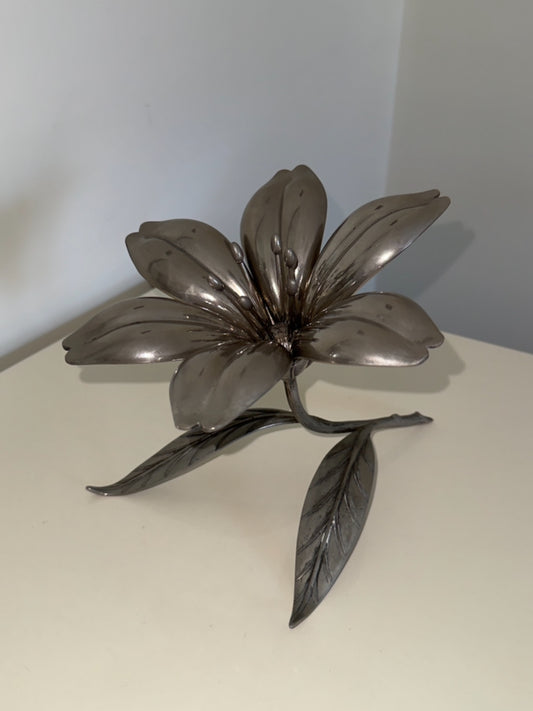 Rosetta ~ Fiore con petali posacenere