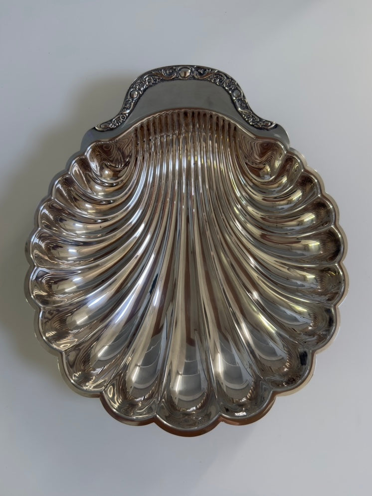 Rosetta ~ Grande conchiglia svuotatasche