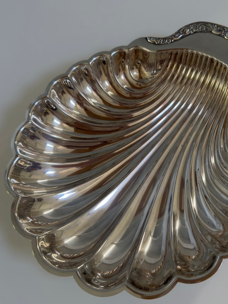 Rosetta ~ Grande conchiglia svuotatasche