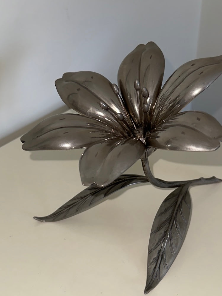 Rosetta ~ Fiore con petali posacenere