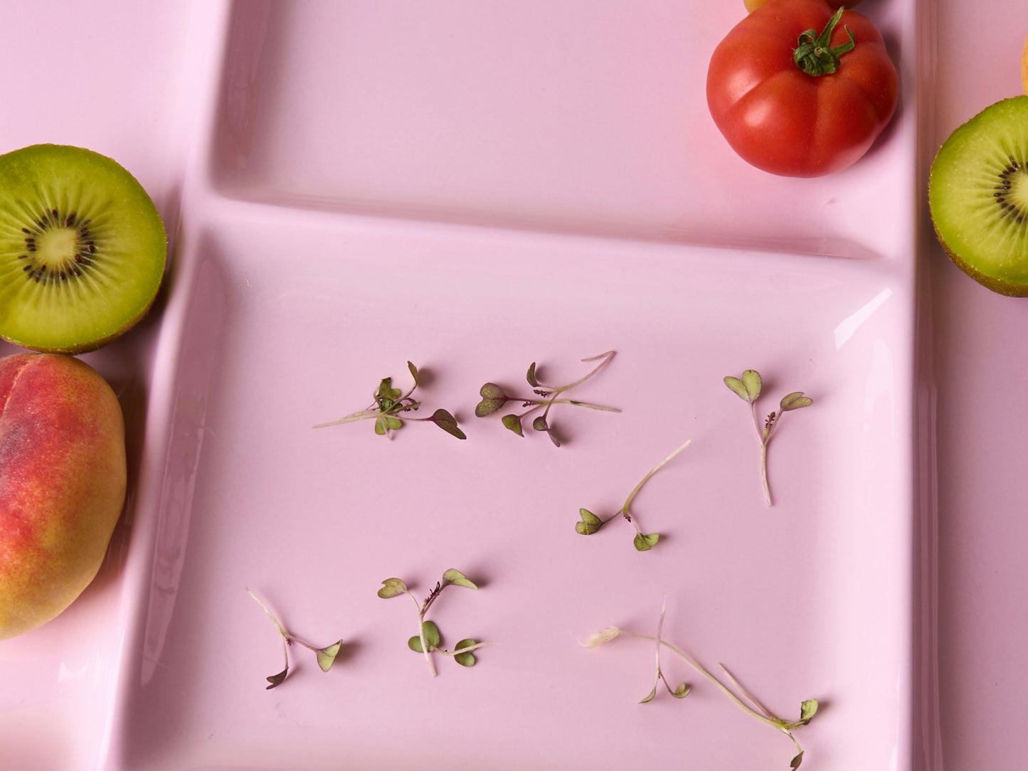 Large pink rectangular plate