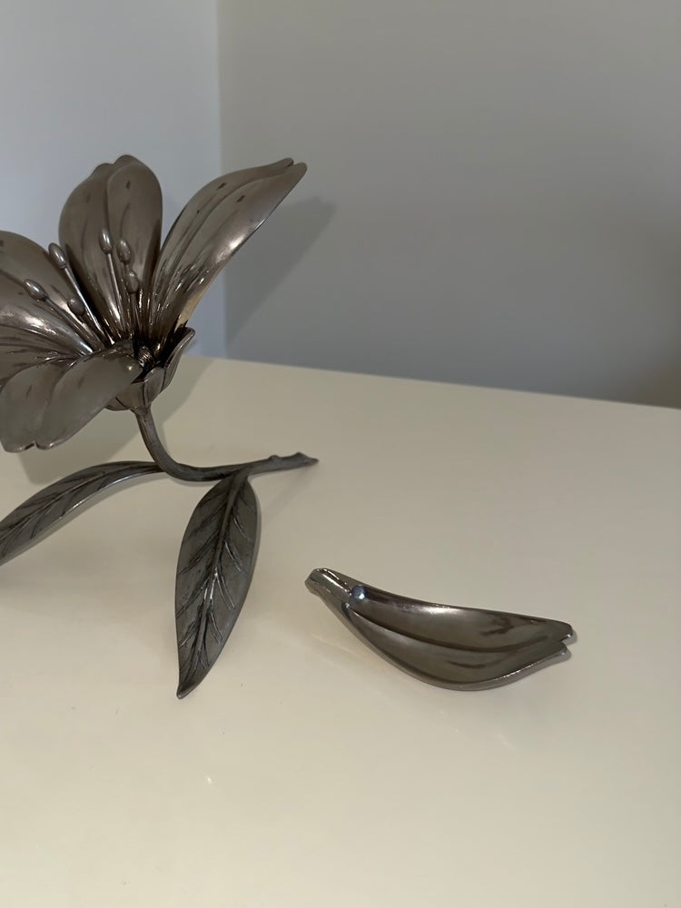 Rosetta ~ Fiore con petali posacenere